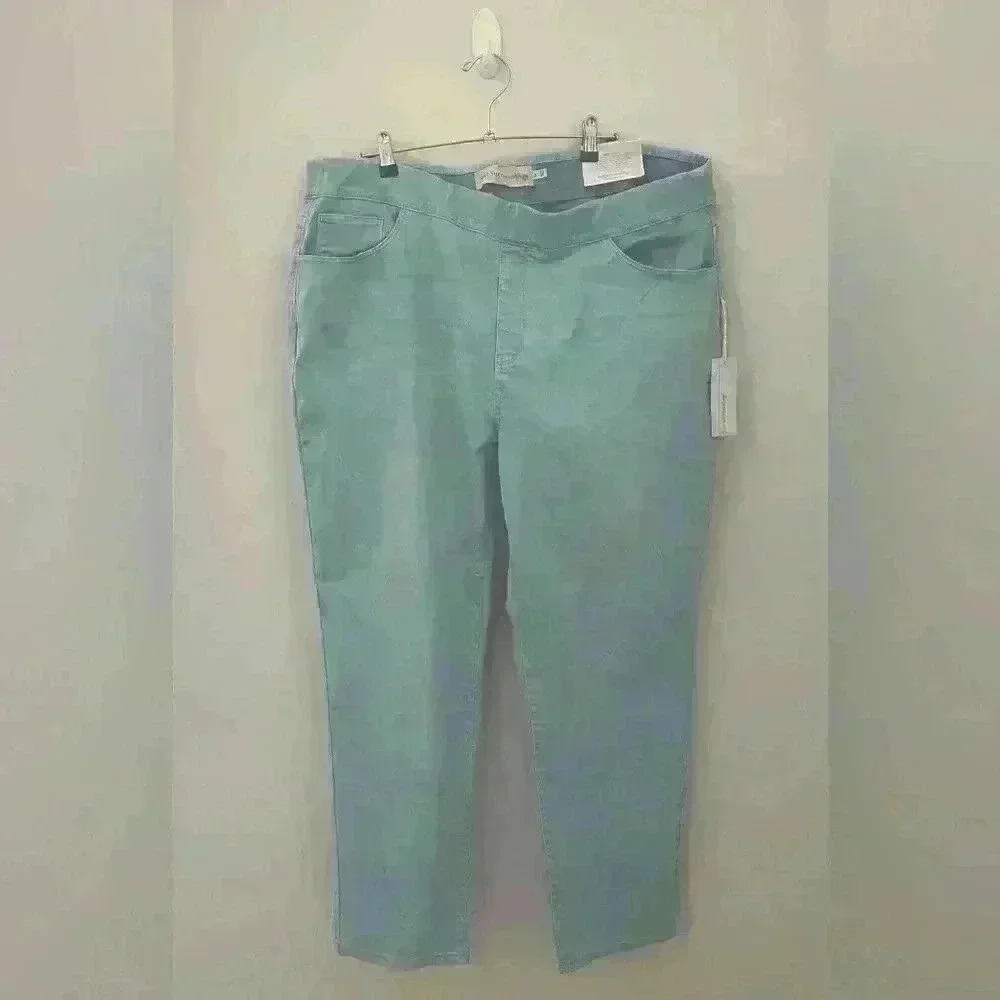NWT Soft surroundings pants 2x